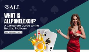 What is AllPanelExch