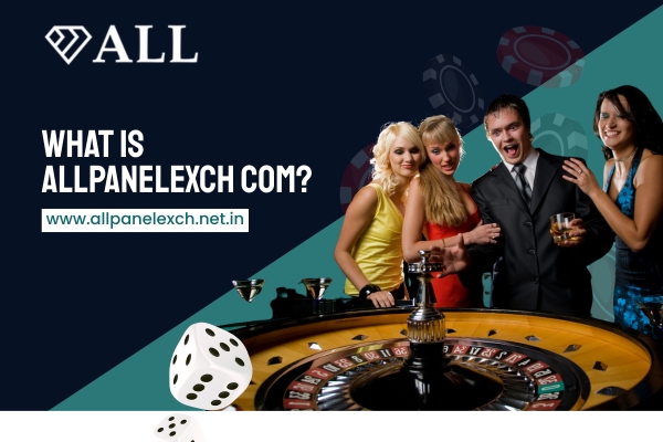 What is AllPanelExch Com