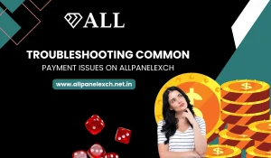 Troubleshooting Common Payment Issues on AllPanelExch